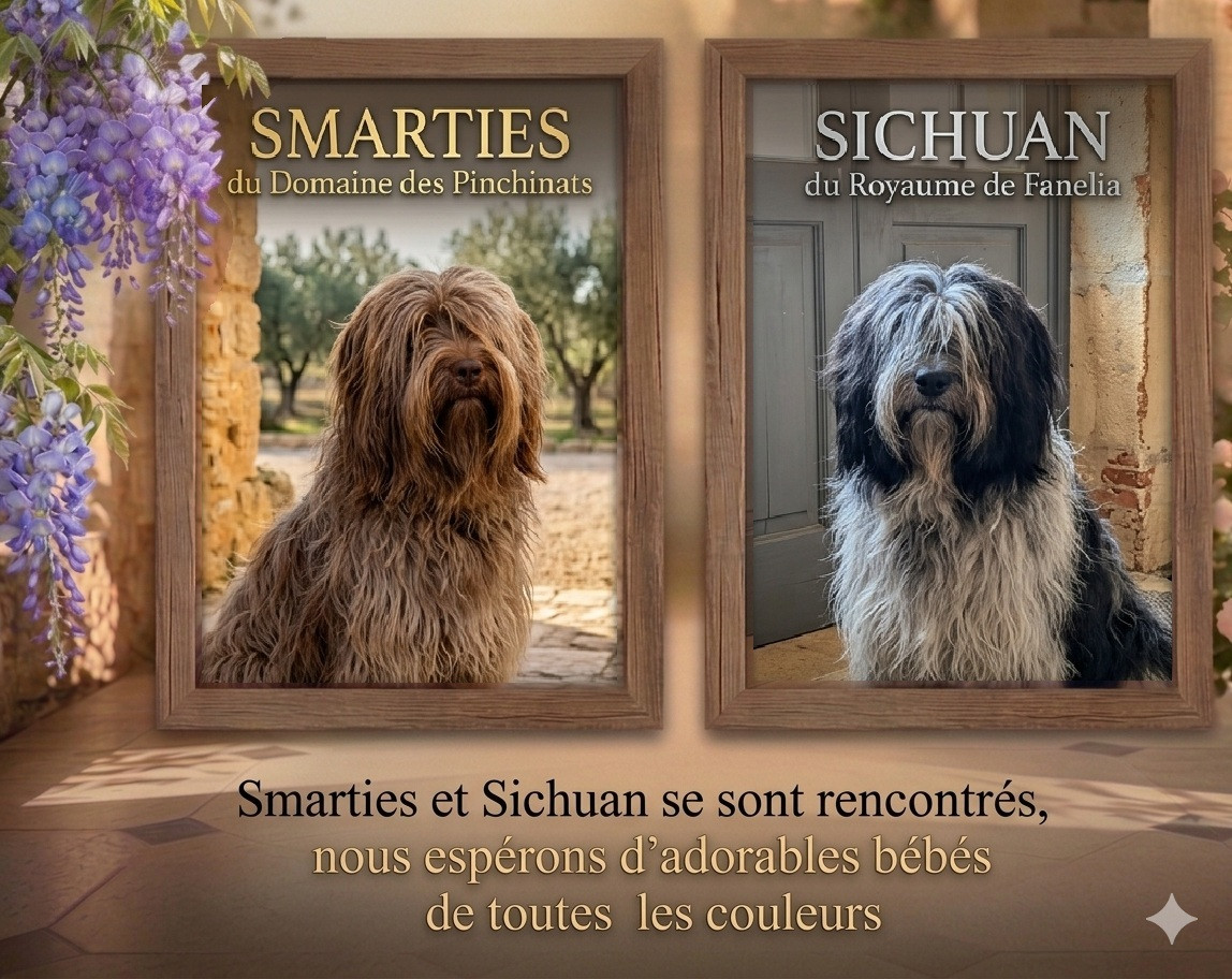 De petits amours devraient voir le jour début juin !