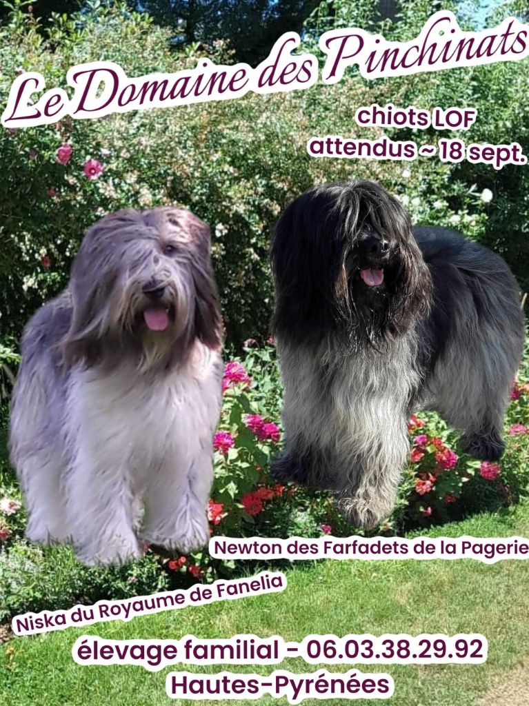 Niska et Newton se sont retrouvés ! 