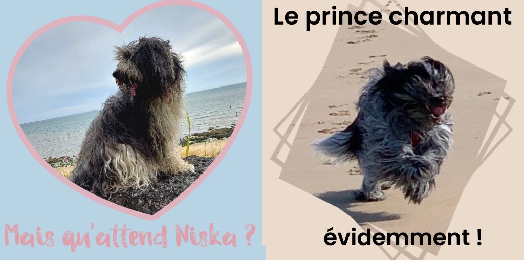 Niska et Newton se sont retrouvés ! 